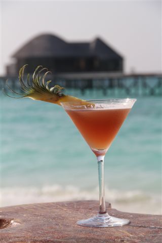 Davey Davey Cocktail